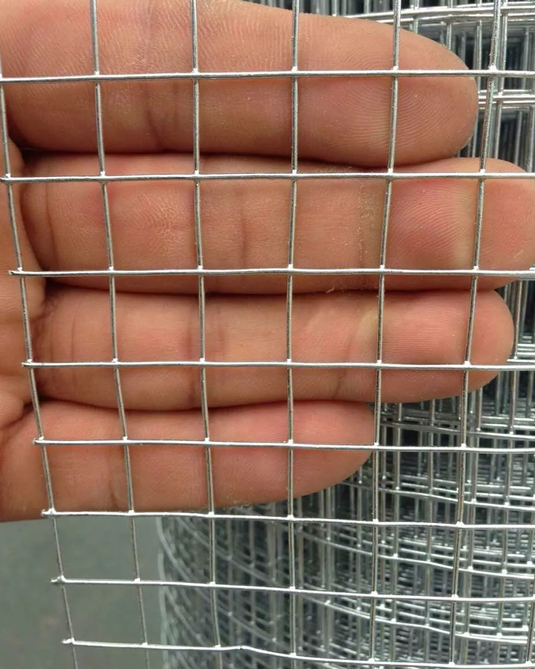 Wire and Wire Mesh